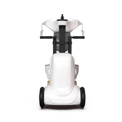 IM204 Electric Standing Power Wheelchair